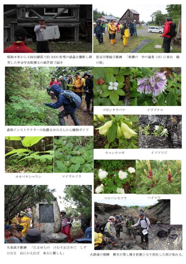 フットパス通信№６➁十勝岳パス（白銀荘～望岳台）2019.7