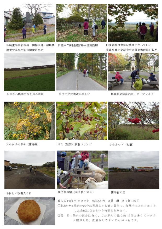 フットパス通信2019.10