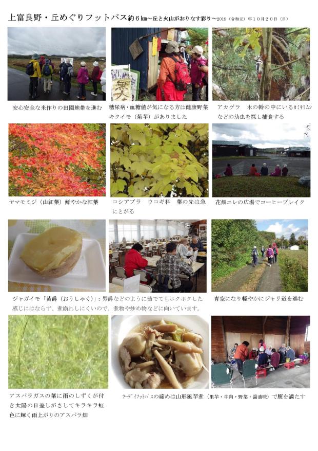 Microsoft Word - フットパス通信９号➁